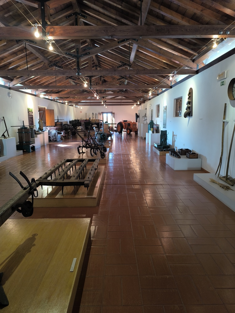 museu 3